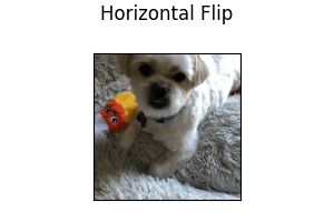Horizontal Flip